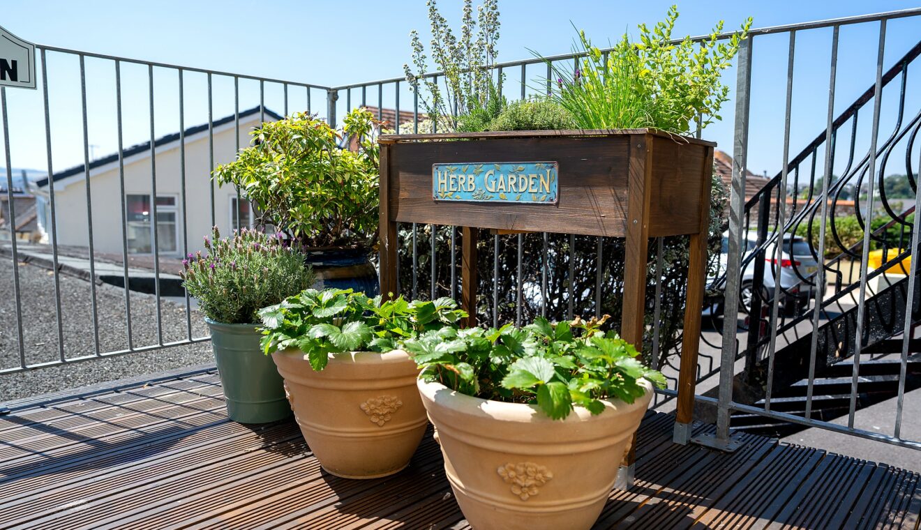 A raised herb garden and potted plants on Mount Olivet's balcony
