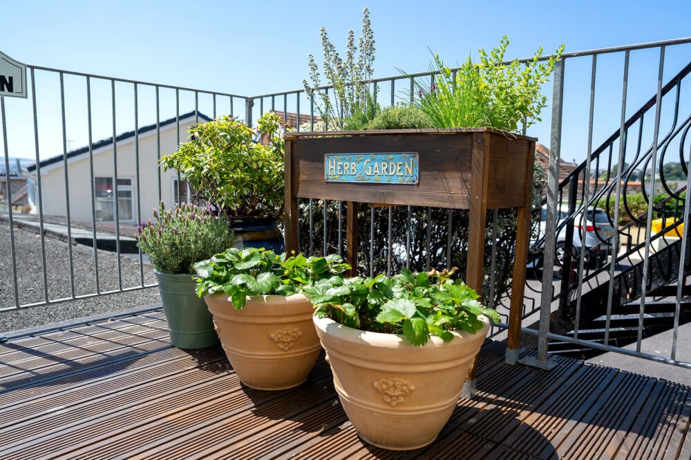 A raised herb garden and potted plants on Mount Olivet's balcony